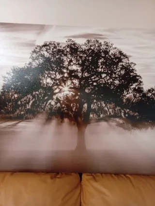 Cuadro árbol con niebla sepia