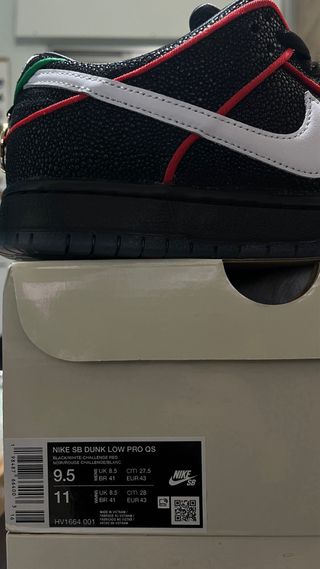 Nike SB Dunk Low “Bronx Girls Skate”