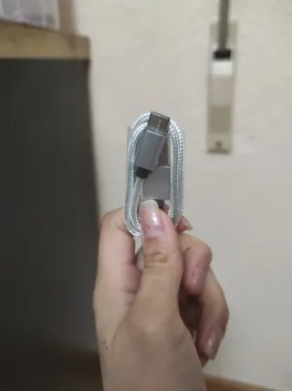 Cable cargador USB-C plateado