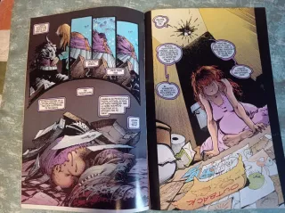 Lote 2 cómics The Maxx