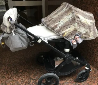 Conjunto Bugaboo Fox Mariló