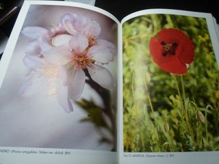 Fitoterapia Aplicada - 1ª Edición-1441 AL 1995