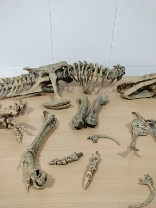 Dinosaurio geofin italy 2000