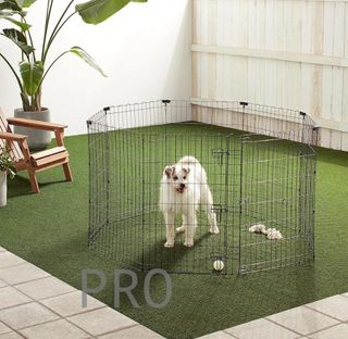 Parque de metal plegable para perros - Amazon basics