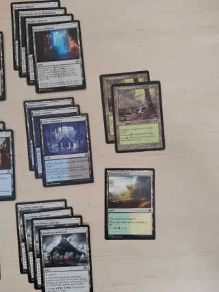 Lote Tierras Pauper Magic The Gathering