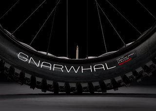 Bicicleta Trek Fat Bike