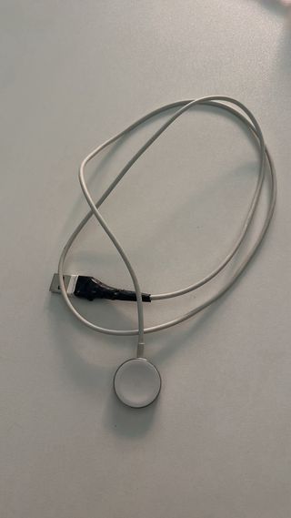 Apple Watch Beige y Plata