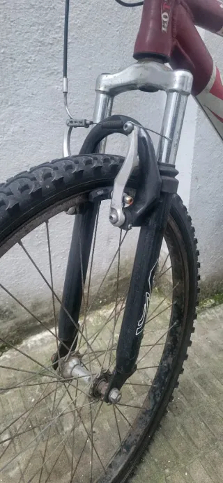 Bicicleta de Montaña GOTTY