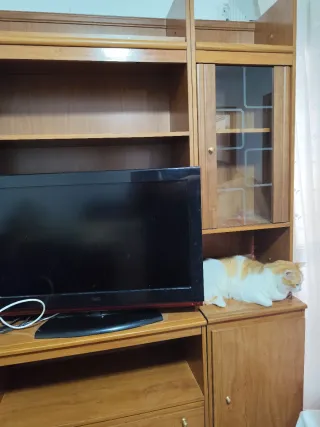 Mueble de comedor de madera