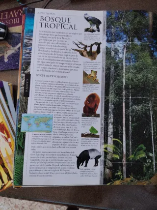 Guía visual enciclopedia Animal