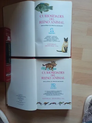 Curiosidades del reino animal.