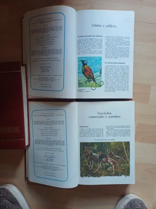 Curiosidades del reino animal.