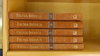 Colección de enciclopedias y VHS de Fauna Ibérica