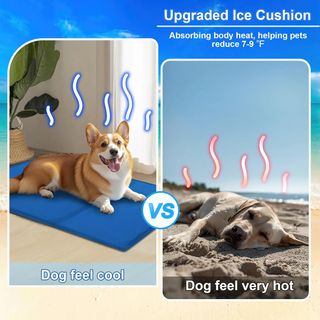 Alfombrilla de refrigeración para Perros de 65 x 5