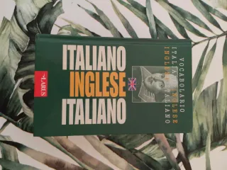 Vocabolario inglese. Ediz. bilingue