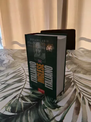 Vocabolario inglese. Ediz. bilingue