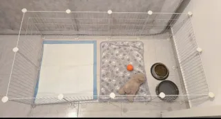 Recinto modulare smontabile per animali domestici