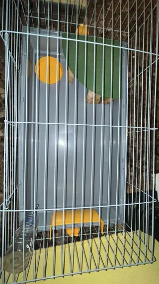 Jaula para cobaya gris y amarilla