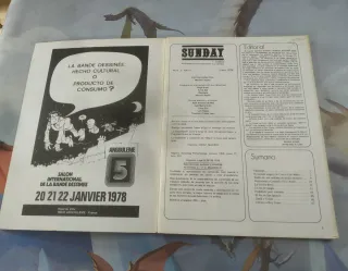 Lote Revista Sunday