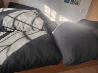 Cojines Paleta 2uds Gris y Negro