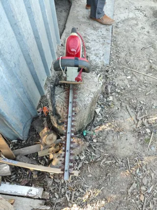 Cortasetos Eléctrico Sterwins