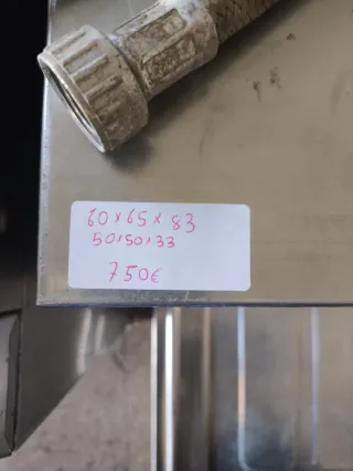 LAVAVAJILLAS INDUSTRIAL CESTA 50