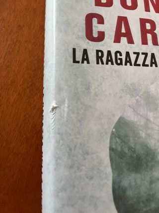 La ragazza della nebbia (Italian Edition)