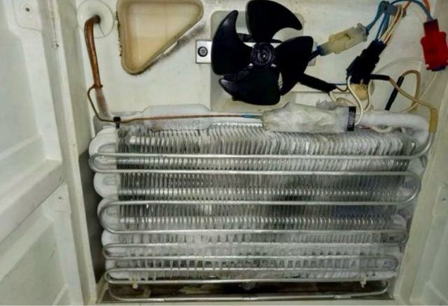 NEVERAS NEVERAS NEVERAS NEVERAS NEVERAS NEVERAS