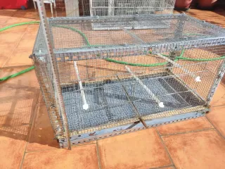 Jaula para pájaros metálica + accesorios a elegir