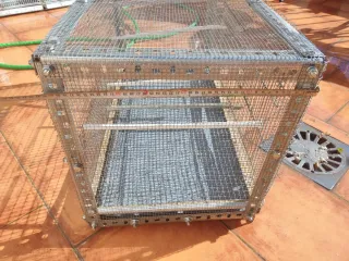 Jaula para pájaros metálica + accesorios a elegir