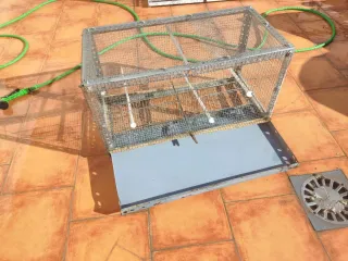 Jaula para pájaros metálica + accesorios a elegir