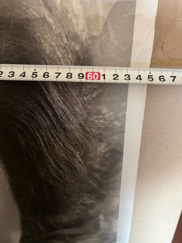 Cartel Carmen de Lirio