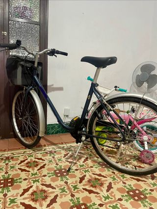 Bicicleta de paseo