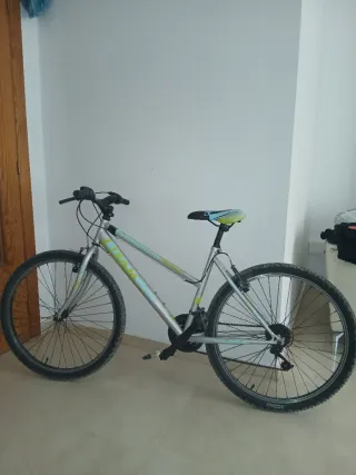 Bicicleta de montaña TEAM plateada