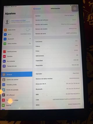 iPad Pro 10.5 256GB gris + Celular