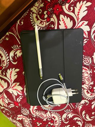 iPad Pro 10.5 256GB gris + Celular