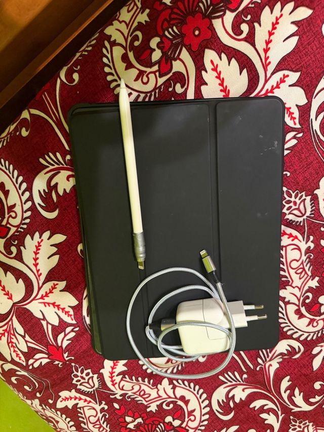 iPad Pro 10.5 256GB gris + Celular