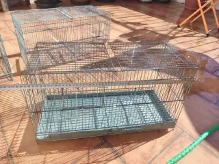 Jaula para pájaros metálica
