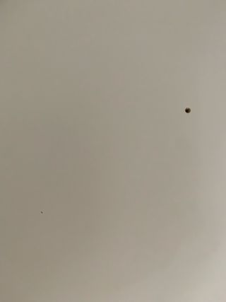 Balda Lack  Ikea Blanca