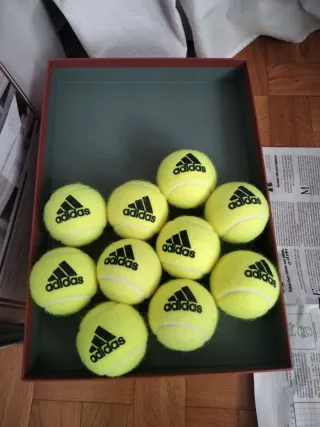Pelotas de Tenis Adidas Nuevas (Pack 11)