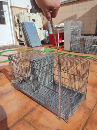 Jaula para pájaros doble