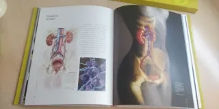 Libro LA MÁQUINA HUMANA (Spanish Edition)