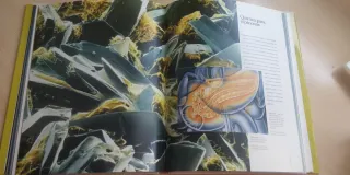 Libro LA MÁQUINA HUMANA (Spanish Edition)