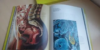 Libro LA MÁQUINA HUMANA (Spanish Edition)