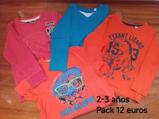 Conjunto 4 camisetas manga larga 2-3 años