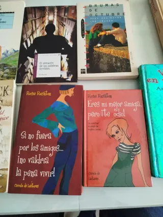 Lote Libros juveniles