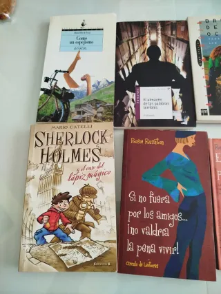 Lote Libros juveniles