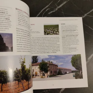 Las rutas del vino en España. Castilla y León