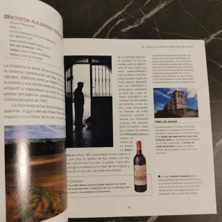 Las rutas del vino en España. Castilla y León