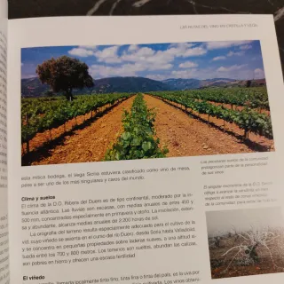 Las rutas del vino en España. Castilla y León